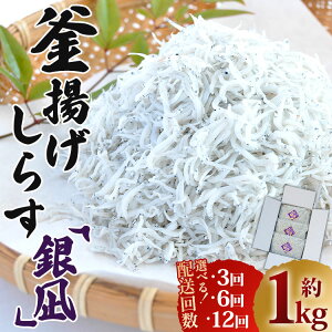 yӂ邳Ɣ[Łzyցzg炷uv1kgi350g×3܁jIׂ񐔁F3/6/12 -   VX ܂  V[t[h Yi CY VN т̂ 