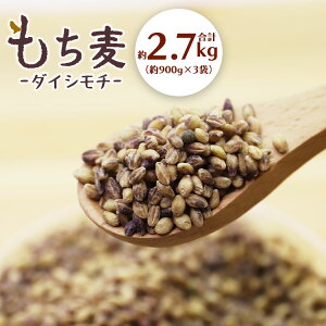 yӂ邳Ɣ[Łzi_CV`j v2.7kg - H@ ~l Lx l ̂Ή ނ Y  G 唞 wV[  ܂邾   ``  ͂  