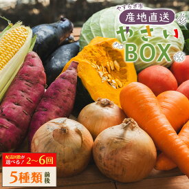 【ふるさと納税】【定期便】やすらぎ市 産地直送やさいBOX （5種類前後）選べる定期回数：2回/3回/4回/5回/6回 - 野菜 ベジタブル おまかせ 詰め合わせ セット 季節 旬 お任せ お楽しみ ヘルシー 国産 特産品 送料無料 やすらぎ市 高知県 香南市【冷蔵】RWyr-0039