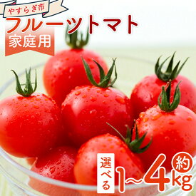 【ふるさと納税】【2026年1月以降発送】【選べる内容量】フルーツトマト (1kg/2kg/3kg/4kg) 家庭用 - 選べる 数量 国産 青果 野菜 トマト 訳あり 完熟 ご家庭用 甘い 酸味 不揃い 傷 やすらぎ市 高知県 香南市【冷蔵】 Ryr-0090
