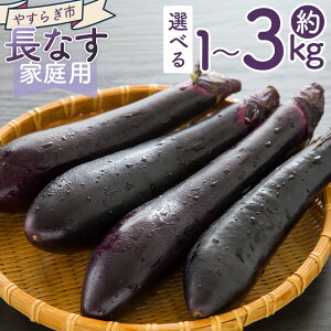 【ふるさと納税】【2025年10月中旬以降発送】【選べる数量】長なす (1kg/2kg/3kg) 家庭用 - 選べる 数量 国産 茄子 なすび 野菜 青果 肉厚 煮物 漬物 焼きなす 麻婆 訳あり ご家庭用 不揃い 傷 やす