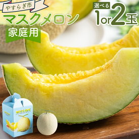 【ふるさと納税】【選べる内容量】【令和8年3月発送開始】マスクメロン （1/2玉） 家庭用 - 選べる 数量 国産 メロン 果物 フルーツ 訳あり 家庭用 4月 5月 父の日 母の日 やすらぎ市 高知県 香南市【常温】 Ryr-0097