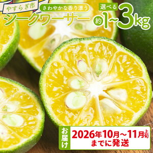 �y�ӂ邳�Ɣ[�Łz�y�I�ׂ鐔�ʁz�y��s��t�z����₩�ȍ���Y���V�[�N���[�T�[�i��1kg/2kg/3kg�j - �I�ׂ� ���e�� ���Y �V�[�N���[�T�[ �ʕ� �t���[�c �ʎ� �� ���k �q���~������ �W���[�X 