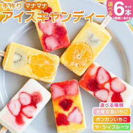 【ふるさと納税】【選べる】手作りアイスキャンディー 6本セット - 選べる 種類 スイーツ デザート おやつ お菓子 果物 フルーツ アイスキャンディー 土佐文旦いちご ポンカンいちご ヤ・シィフルーツ ギフト お礼 贈り物 のし対応可 ヤ・シィ 高知県 香南市【冷凍】