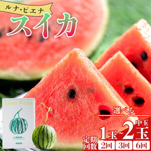 �y�ӂ邳�Ɣ[�Łz�y�����J�n�z�y�I�ׂ�z���i�E�s�G�i�X�C�J ���� (����1��/2��) (����� 2/3/6��) - �u����̓i�]�g���v�Ɏ��グ���܂��� �I�ׂ� ���� ����� ������ �ʕ� �������� �t��