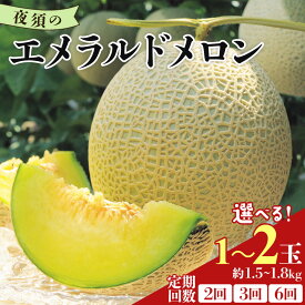 【ふるさと納税】【発送開始】【選べる】夜須のエメラルドメロン (数量1玉/2玉) (定期便 2/3/6回) - テレビ朝日「ザワつく!金曜日」で特集 紹介 くだもの フルーツ ギフト マスクメロン 青肉 ギフト 贈答用 ソーダやシロップに 高級 ケーキに 産地直送 JA高知県 香南市