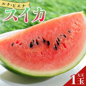 yӂ邳Ɣ[Łz󒆗͔̍|őz̈Ղ󂯂 iEsGiXCJ() - XCJ mY isGi Mtg 蕨 ̂ t[cD Z ʕ Ẳʕu2026N5