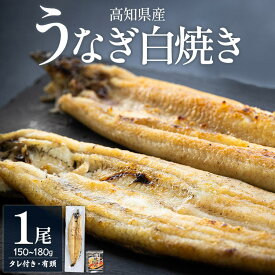 【ふるさと納税】高知県産うなぎの白焼き 1尾（150〜180g）タレ付き エコ包装 - 鰻 ウナギ 有頭 つまみ ご飯のお供 簡易包装 家庭用 老舗 国産 土佐湾 吉川水産 高知県 香南市【冷凍】 yw-0056