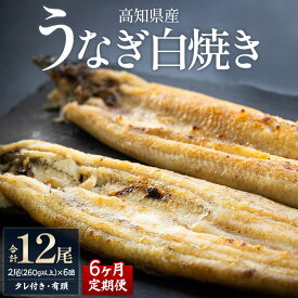 【ふるさと納税】【6ヶ月定期便】高知県産うなぎの白焼き 合計12尾 (2尾260g以上×6回) タレ付き エコ包装 - 鰻 ウナギ 有頭 つまみ ご飯のお供 たれ 簡易包装 家庭用 老舗 国産 土佐湾 吉川水産 高知県 香南市【冷凍】 Wyw-0069