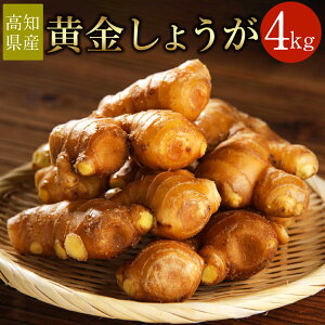 yӂ邳Ɣ[ŁzymYz傤 4kg I  Yi s m 