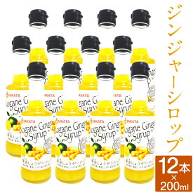 【ふるさと納税】ジンジャーシロップ 200ml×12本 香美市 高知県 送料無料