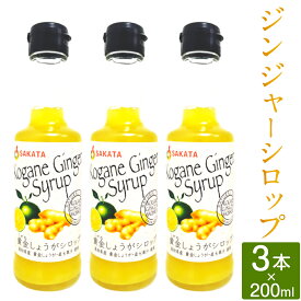【ふるさと納税】高知県産生姜 ジンジャーシロップ 200ml×3本