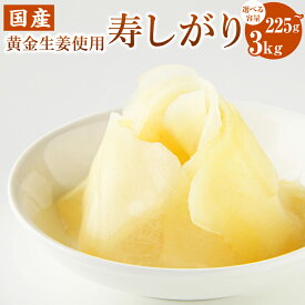 【ふるさと納税】＜選べる内容量＞寿しがり 高知県産 ブランド生姜 計225g（45g×5袋）・1kg・計3kg（1kg×3袋） 香美市 高知県 送料無料