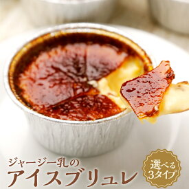 【ふるさと納税】【選べるセット内容】 ジャージー乳のアイスブリュレ4種セット ／ ジャージー乳（4個）＆濃厚キャラメル（4個） ／ ジャージー乳（4個）＆木いちご（4個） 9500円〜15000円 9千5百円〜1万5000円 アイス スイーツ 食べ比べ お取り寄せ 高知県 香美市 送料無料