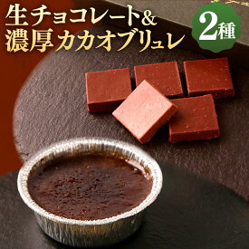 【ふるさと納税】にっぽんの宝物世界大会2023 日本と海外の融合部門 第2位獲得！【世界を変えるカカオ】生チョコレート&濃厚カカオブリュレ 生チョコレート2箱 濃厚カカオブリュレ 1箱 チョコ ブリュレ 生チョコ 洋菓子 お菓子 スイーツ 冷凍 高知 高知県 香美市 送料無料