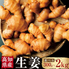 【ふるさと納税】【選べる容量】高知県産 生姜 300g 1kg 2kg 生姜 ショウガ しょうが ジンジャー 野菜 薬味 産地直送 お取り寄せ 高知県 香美市 送料無料