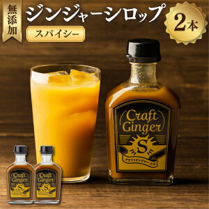 yӂ邳Ɣ[ŁzyYzWW[VbvXpCV[Craft Ginger S 200ml×2{ I VEK 傤 WW[ Vbv  l WW[G[ Y_ m s