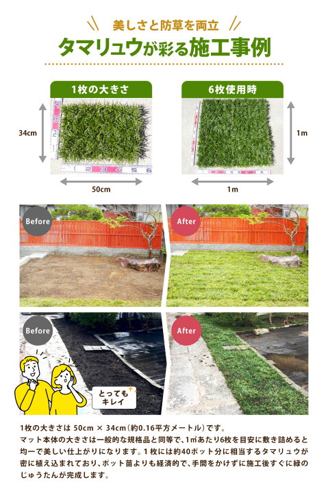 楽天市場】【ふるさと納税】玉竜 タマリュウ たまりゅう ＜選べる枚数 
