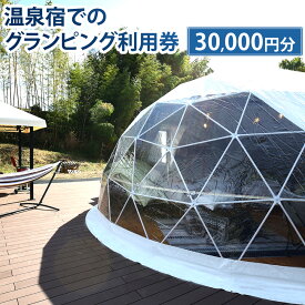 【ふるさと納税】温泉宿でのグランピング利用券（30,000円分）宿泊券 入場券 チケット キャンプ グランピング 旅行 テント ドームテント 温泉 アウトドア 高知県 香美市 送料無料