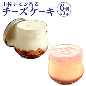 �y�ӂ邳�Ɣ[�Łz�y������������y�`�[�Y�P�[�L2��Z�b�g�z �r���� ��L�u���[�x���[�`�[�Y�P�[�L�E�������`�[�Y�P�[�L �v360g�i60g×6�j �C�`�S � �u���[�x���[ �`�[�Y�P�[�L �X�C�[�c 