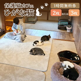 【ふるさと納税】＜選べる枚数＞保護猫カフェひがな猫 1時間無料券 （2枚 ／ 3枚） ／ チケット 券 利用券 カフェ利用券 体験チケット 猫カフェ ネコカフェ ねこカフェ 保護猫 保護猫カフェ 1時間 無料 高知県 香美市 送料無料
