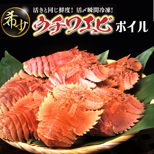 yӂ邳Ɣ[Łzʌ聄E`Gri{Cj7CO 1000gZbg Y mY VR VN CN hg Ă {C l  j LO 蕨 