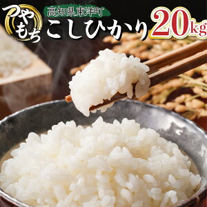 yӂ邳Ɣ[Łz2026N8ߘa8NYRVqJ 20kgyS248zmY Y    R   l  ƒp p 蕨 Mtg