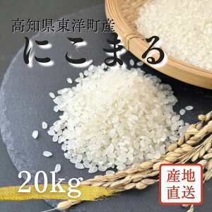 yӂ邳Ɣ[Łz2026N10ߘa8NYɂ܂遃Iׂkgiߘa8NHnj mY  R  Â l  ƒp p  S249