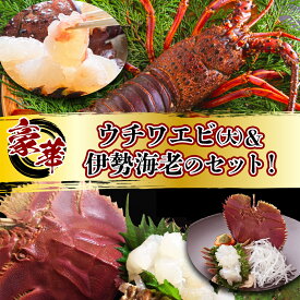 【ふるさと納税】＜選べる容量＞ウチワエビ(大)＆伊勢海老の豪華セット｜国産 東洋町産 天然 新鮮 海鮮 刺身 焼き ボイル 四国 お取り寄せ お祝い 記念日 贈り物 送料無料