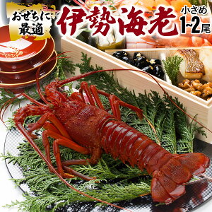 �y�ӂ邳�Ɣ[�Łz�ɐ��C�V�������T�C�Y 1~2���Z�b�g�y�Ⓚ�z ���Y ���m���Y �V�R �V�N �C�N �䂸�ʏ`�t�� �h�g �Ă� �{�C�� �� �l�� ������ ���j�� �L�O�� ���蕨 ������ �������� �� S-25