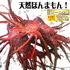 yӂ邳Ɣ[Łzs[^[oIɐCV Iׂe 180g`1100g Y mY VR VN CN 䂸ʏ`t hg Ă j LO 蕨