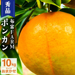 yӂ邳Ɣ[Łzs\񁄁ykgIׂzGi|J5`10kg NT2-7 Y mY A IW ʕ t[c Â _ W[V[ ~J  m l zxFARM 