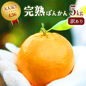 yӂ邳Ɣ[Łzs\񁄖Anۂ񂩂 5kg Y mY 󂠂 Î_ς W[V[ m m l  t[c  ~J ʕ  Yn F119