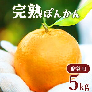 yӂ邳Ɣ[Łzs\񁄑p nۂ񂩂(TCY) 5kg Y mY Â RN  ~J W[V[ ʓ m m l  t[c ʕ 蕨 Mtg j 