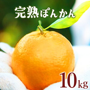yӂ邳Ɣ[Łzs\ nۂ񂩂 10kg Y mY IW ʕ t[c  ~J n Â _ W[V[ m l  ƒp p 蕨 Mtg e