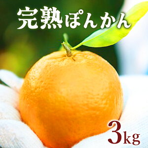 yӂ邳Ɣ[Łzs\񁄊nۂ񂩂 3kg Y mY n Â Î_ς W[V[  ~J m m l  t[c ʕ fU[g  Yn F140