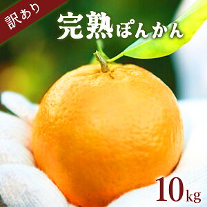 yӂ邳Ɣ[Łz s\񁄖Anۂ񂩂 5kg×2Zbg10kg Y mY 󂠂 Î_ς Â  ~J W[V[ m m l  t[c ʕ  