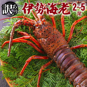 yӂ邳Ɣ[Łz󂠂 YɐCV1,000gyⓀz Y mY VR VN CN 䂸ʏ`t hg Ă {C l  j LO 蕨   S215