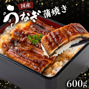 yӂ邳Ɣ[ŁzsʂIׂtYȂ  Jbg  200g`600gsw\t EiM V Y m m l  ƒp p 蕨 Mtg ^ERt 