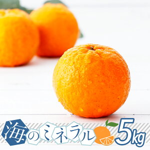 �y�ӂ邳�Ɣ[�Łz ����s�\�񁄃|���J�� �C�̃~�l�����������Ղ�܂񂾍b�Y�̃|���J�� 5kg ���Y ���m���Y �Â� �h�{�����Ղ� �W���[�V�[ �ʓ� �l�� ������ �t���[�c ���� �~�J�� �ʕ� ��