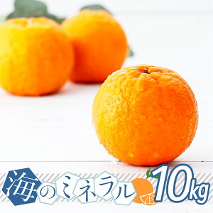 �y�ӂ邳�Ɣ[�Łz����s�\�񁄃|���J�� �C�̃~�l�����������Ղ�܂񂾍b�Y�̃|���J�� 10kg ���Y ���m���Y �Â� �h�{�����Ղ� �W���[�V�[ �t���[�c ���� �~�J�� �ʓ� �l�� ������ �t���[