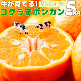 【ふるさと納税】＜先行予約＞牛が育てる！コクうまポンカン 2Lサイズ＜5kg＞ 国産 東洋町産 訳アリ ぽんかん オレンジ 果物 フルーツ 甘い 酸味 コク 完熟 無農薬栽培 高知 四国 お取り寄せ 家庭用 自宅用 送料無料 産地直送 果汁 ジューシー 蜜柑 ミカン 牛 K-03