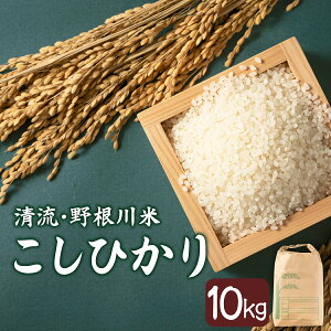 yӂ邳Ɣ[Łz8{蔭Jn썪10kg ЂyMZ001zmY Y    R   l  ƒp p 蕨 