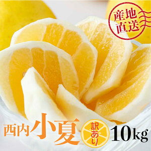 yӂ邳Ɣ[Łzs\ ʂIׂ yAzā@3E5E10kg@ j[T}[IW W[V[ ʓ m l  ƒp p NU-01-03