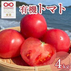 yӂ邳Ɣ[Łzs\ L@g}g 4kg mY Ƃ܂ W[V[ m l  ƒp p  lCg}g  Â VN g}g   I VN 