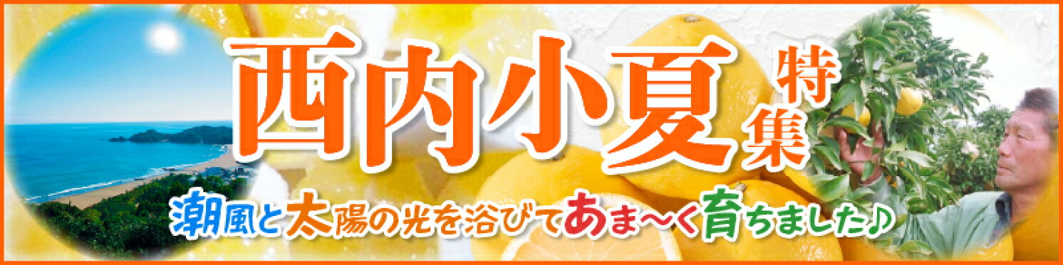 小夏特集