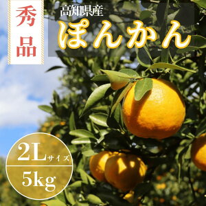 【ふるさと納税】TM003-1 徳村の秀品ぽんかん 2Lサイズ<5kg>国産 東洋町産 訳アリ 甘い コク ジューシー 果肉 高知県 東洋町 四国 お取り寄せ フルーツ 果物 家庭用 自宅用 送料無料