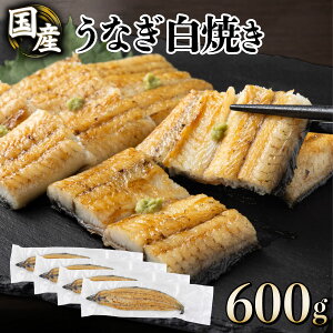 yӂ邳Ɣ[ŁzʂIׂ遄ȂĂ150g 2`4Ȃ EiM V Y m m l  ƒp p 蕨 Mtg Rt ȏd V Ș ȒЂ N