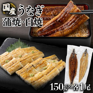 yӂ邳Ɣ[ŁzāEăZbgi150g e1jyU015zȂ EiM V Y m m l  ƒp p 蕨 Mtg ^ Rt ȏd V Ș ȒЂ N