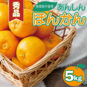 yӂ邳Ɣ[Łz s\񁄏Gi|J 5kg Y mY Î_ς Â ʏ` W[V[ m m l  t[c  ~J ʕ  TS-01